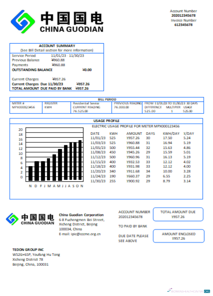 Download China Guodian Corporation electricity utility business bill, SCR Photoshop template
